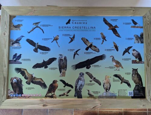 Mirador ornitológico en Sierra Crestellina