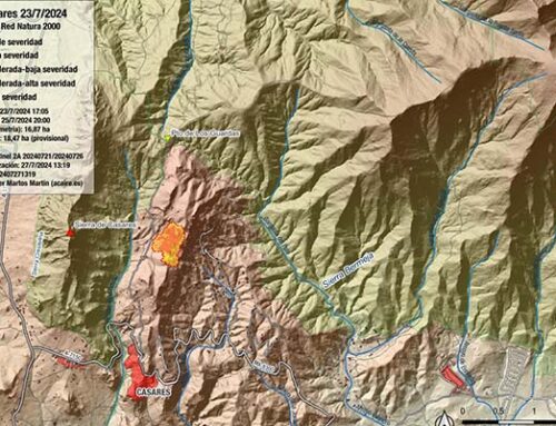 Calculamos el área afectada por un nuevo incendio forestal en Casares